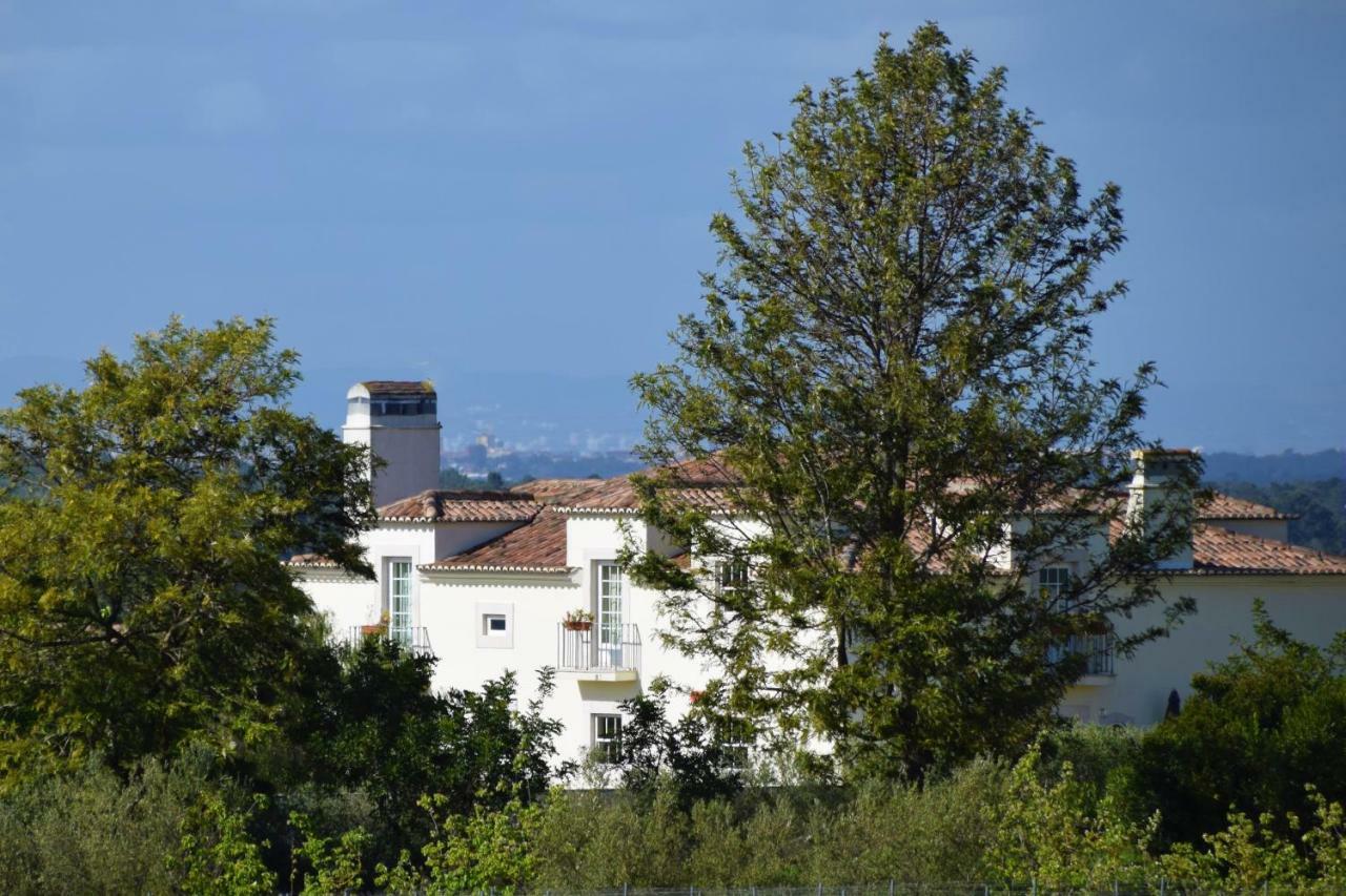 מלון אזייתאו Quinta De Catralvos מראה חיצוני תמונה